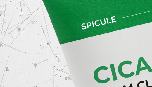 Spicule Cica Foam Cleanser